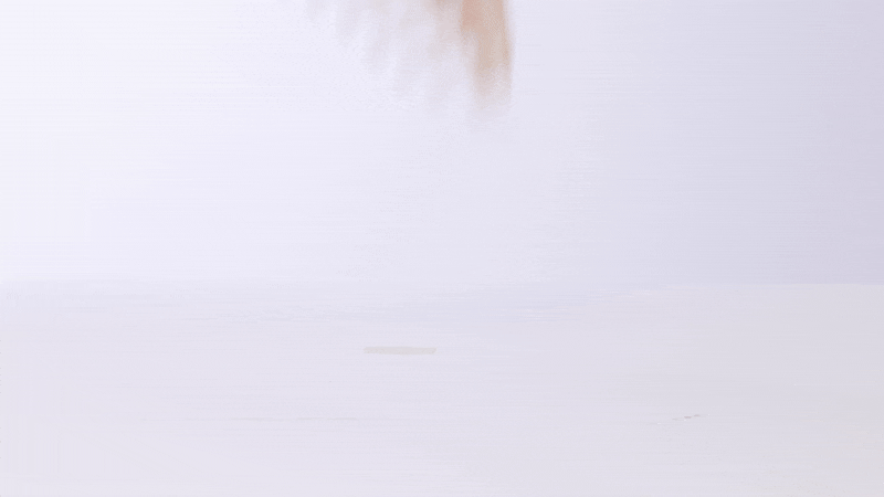 21 GIF.gif